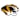 Missouri Tigers